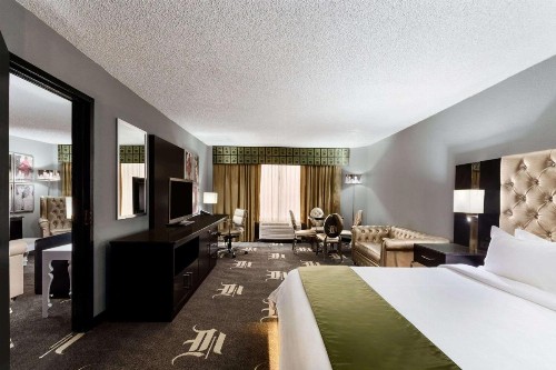 Wyndham Garden Dallas North - image 28
