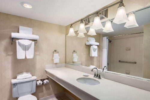 Wyndham Garden Dallas North - image 32