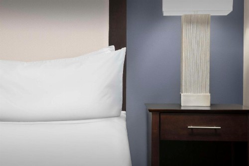 Homewood Suites Dallas Downtown - image 19