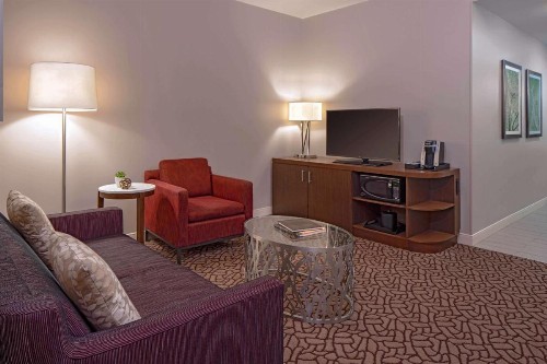Hilton Garden Inn Downtown Dallas - image 44