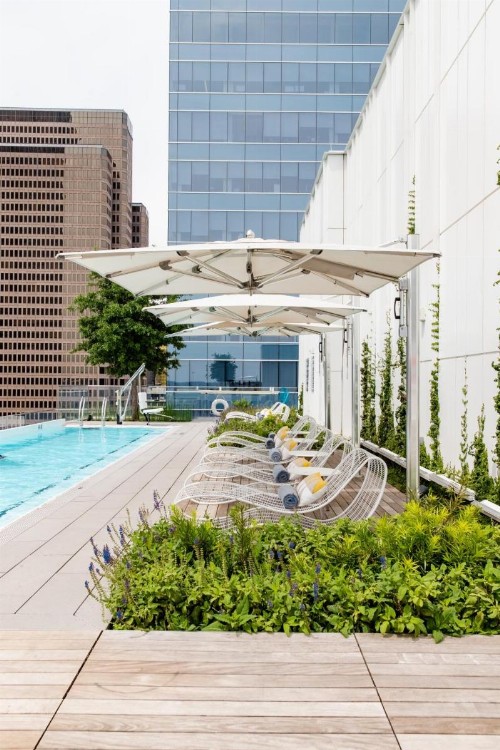 HALL Arts Hotel Dallas Curio Collection by Hilton - image 12
