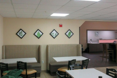 Sleep Inn & Suites Dania Beach - image 25