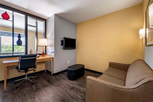 Cambria Hotel Ft Lauderdale Airport South & Cruise Port - image 22