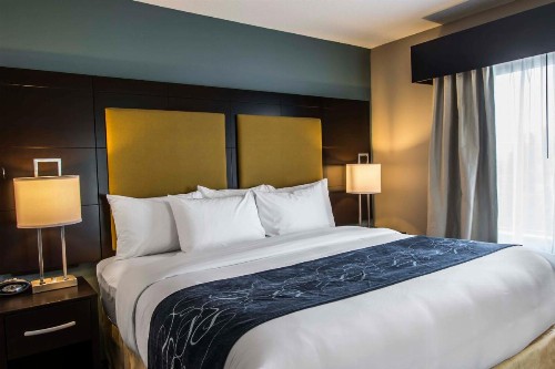 Comfort Suites Fort Lauderdale Airport South & Cruise Port - image 13
