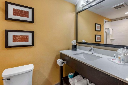Comfort Suites Fort Lauderdale Airport South & Cruise Port - image 17