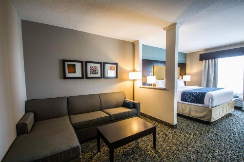 Comfort Suites Fort Lauderdale Airport South & Cruise Port - image 20