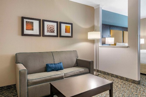 Comfort Suites Fort Lauderdale Airport South & Cruise Port - image 23