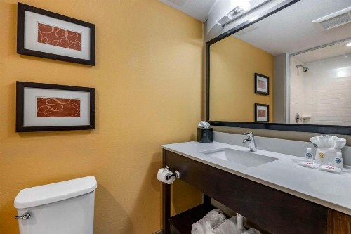 Comfort Suites Fort Lauderdale Airport South & Cruise Port - image 5