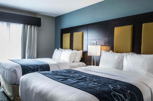 Comfort Suites Fort Lauderdale Airport South & Cruise Port - image 6