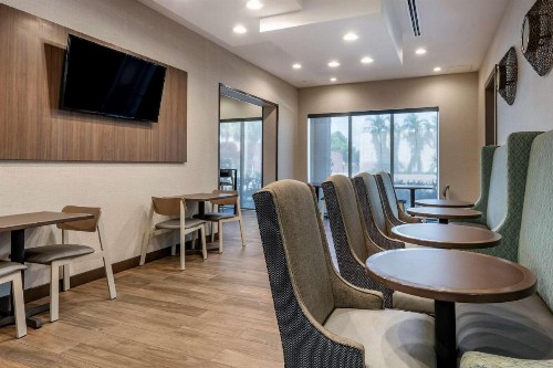 Comfort Suites Fort Lauderdale Airport & Cruise Port - image 20