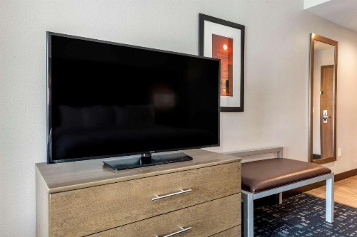 Comfort Suites Fort Lauderdale Airport & Cruise Port - image 8