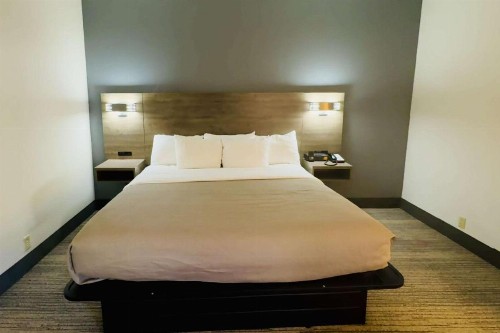 Quality Inn - image 29