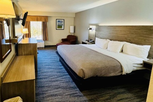 Quality Inn - image 31