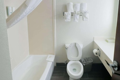 Quality Inn - image 38