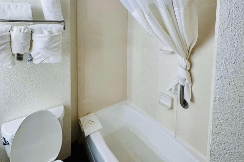 Quality Inn - image 39