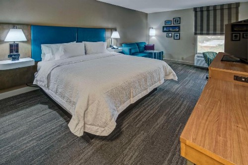 Hampton Inn Orlando-Maingate South - image 22