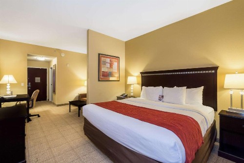 Comfort Inn & Suites Maingate South - image 6