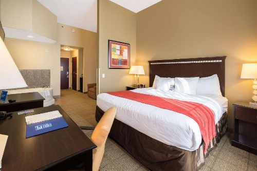Comfort Inn & Suites Maingate South - image 8