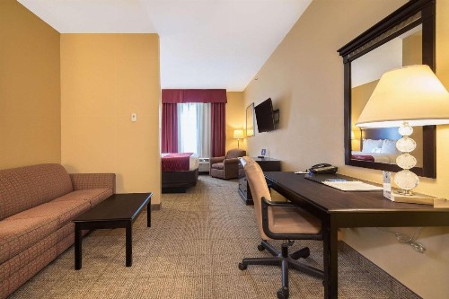 Comfort Inn & Suites Maingate South - image 9