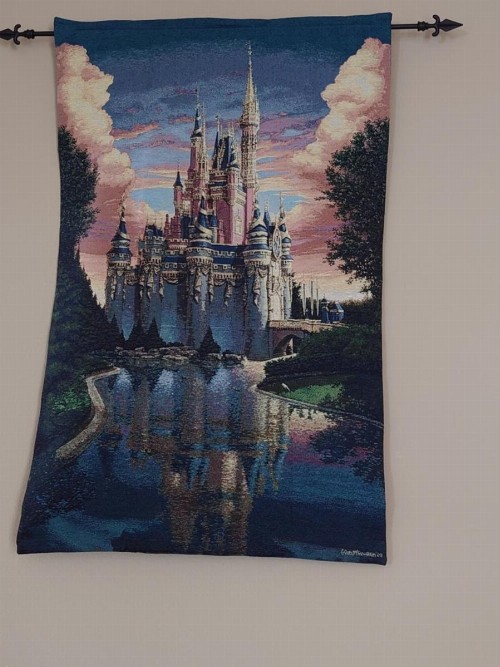Florida Villa - image 13