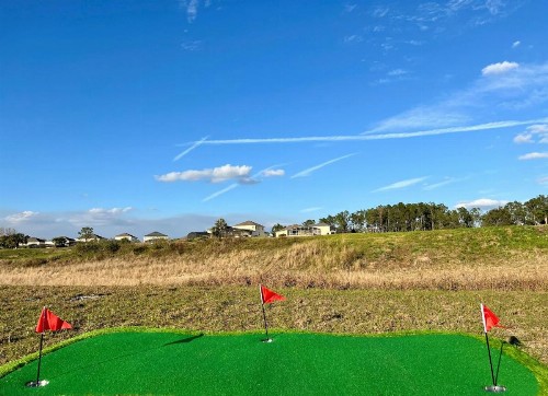 Eleven-Bedroom Disney Area Golf Resort Mansion - image 38