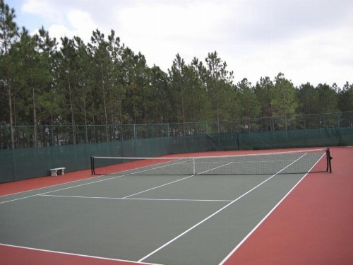 Eleven-Bedroom Disney Area Golf Resort Mansion - image 40