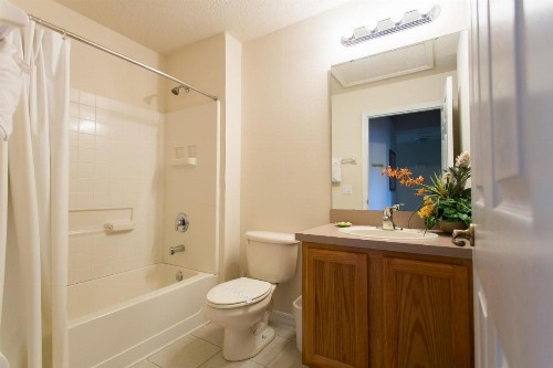Regal Palms Resort - image 8