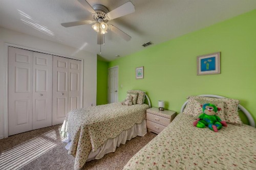 Sunshine Grove - image 11