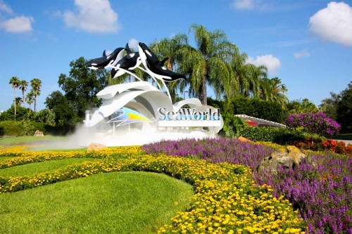 1556 Champions Gate - image 5