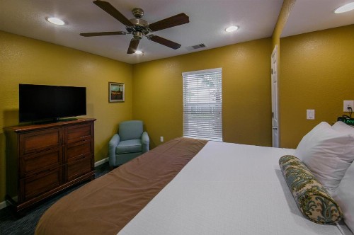 Holiday Inn Club Vacations - Orlando Breeze Resort an IHG Hotel - image 20