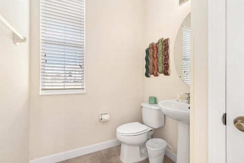 Plunge Paradise - image 11
