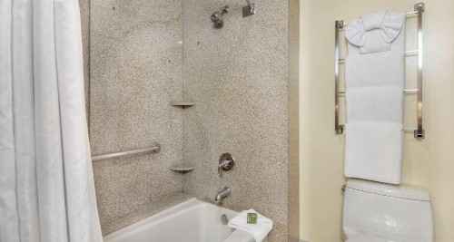 Best Western Plus Palm Court Hotel - image 27