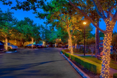 University Park Inn & Suites - image 23