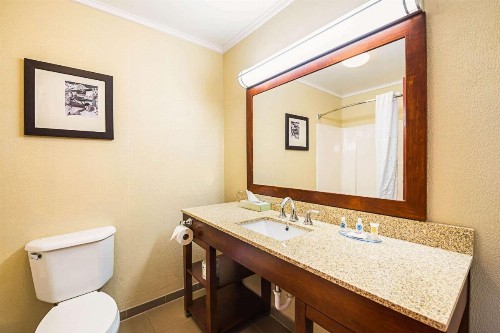 Comfort Inn & Suites Dayton - image 9