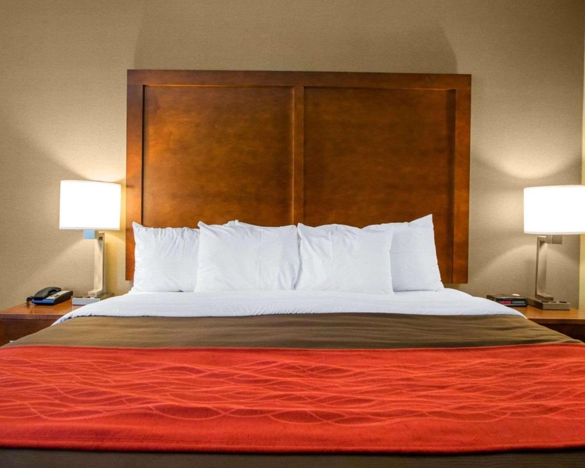 Comfort Inn Dayton - Huber Heights - image 4
