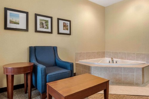 Comfort Suites Dayton-Wright Patterson - image 15