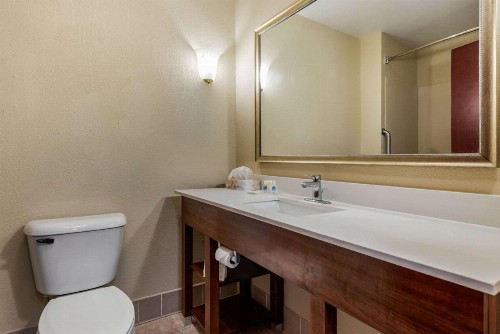 Comfort Suites Dayton-Wright Patterson - image 21