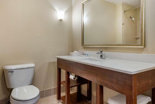 Comfort Suites Dayton-Wright Patterson - image 7