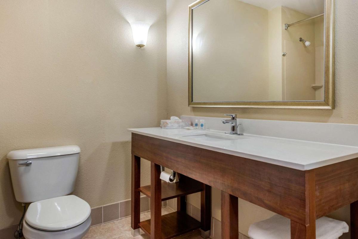 Comfort Suites Dayton-Wright Patterson - image 7