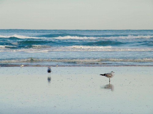 Hampton Inn Daytona Shores-Oceanfront - image 21