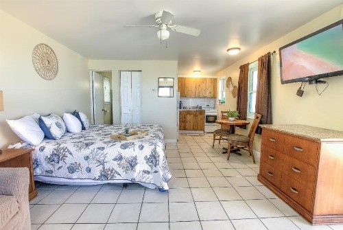 Daytona Shores Inn and Suites - image 6