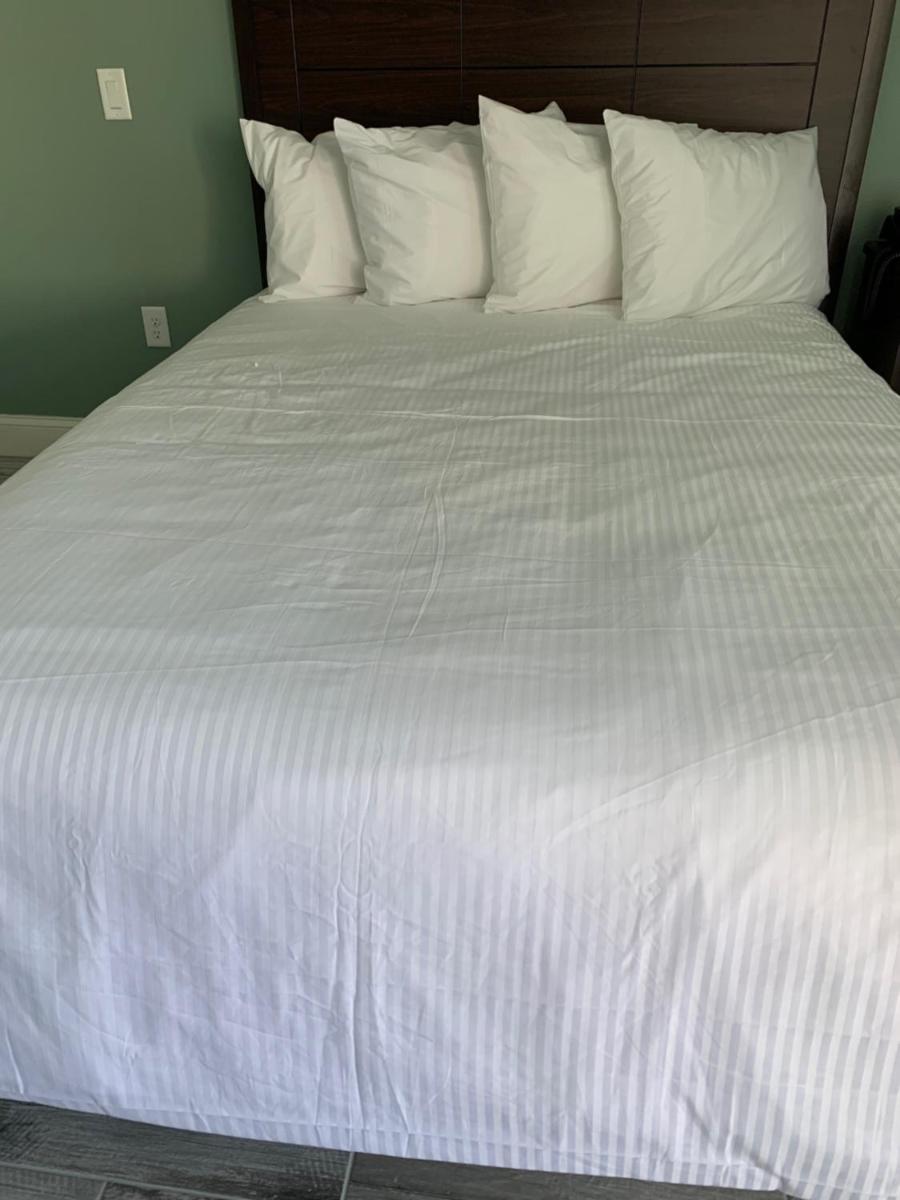 Atlantic Shores Motel - image 5