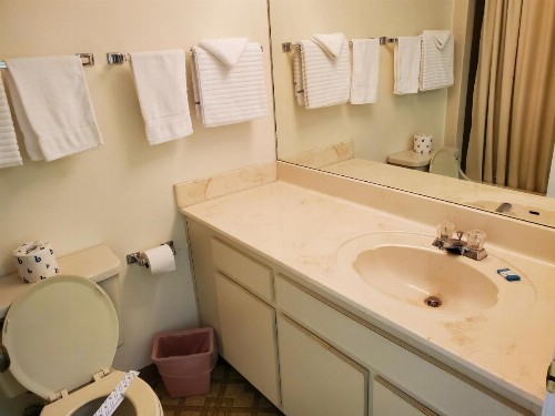 South Shore Motel - image 7