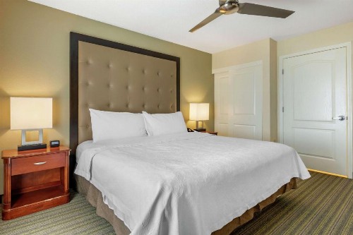 Homewood Suites by Hilton Daytona Beach Speedway-Airport - image 11