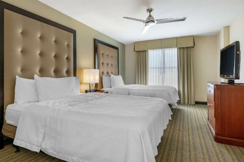 Homewood Suites by Hilton Daytona Beach Speedway-Airport - image 13