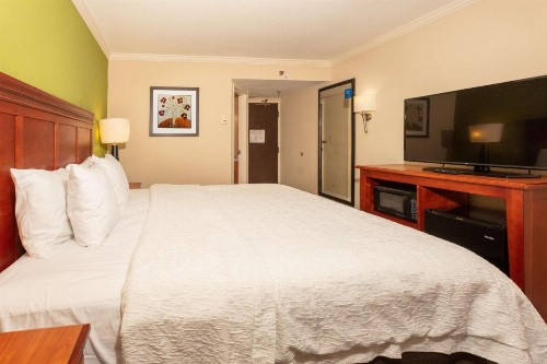 Hampton Inn Daytona Speedway-Airport - image 19