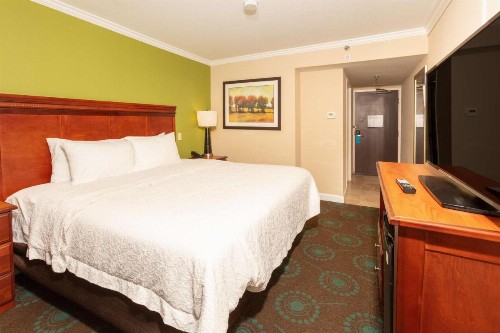 Hampton Inn Daytona Speedway-Airport - image 20