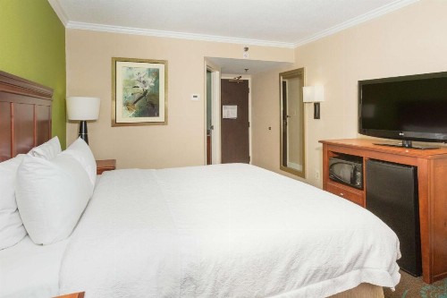 Hampton Inn Daytona Speedway-Airport - image 27