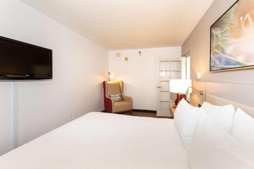 Hilton Garden Inn Daytona Beach Airport - image 17