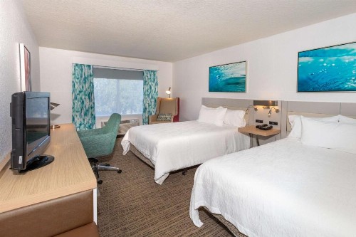 Hilton Garden Inn Daytona Beach Airport - image 35